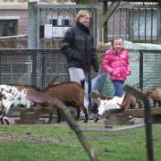 NL doet 2015 in het Hertenkamp Tiel