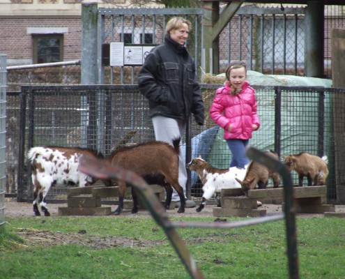 NL doet 2015 in het Hertenkamp Tiel