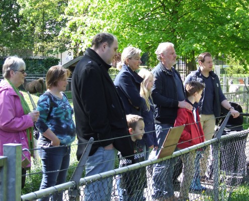 Schaapscheerderdag 2015 in het Hertenkamp Tiel