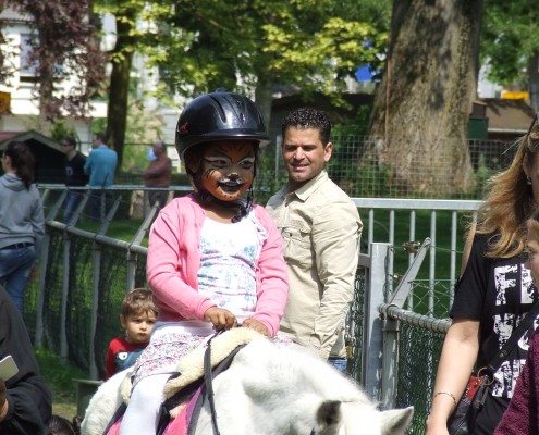 Schaapscheerderdag 2015 in het Hertenkamp Tiel