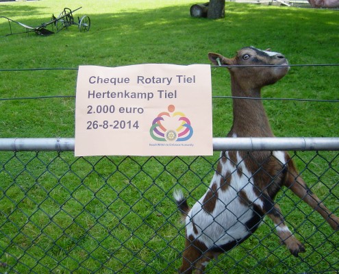 Rotary Tiel Donatie in het Hertenkamp Tiel