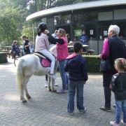 Dierendag in het Hertenkamp Tiel