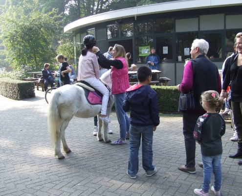 Dierendag in het Hertenkamp Tiel