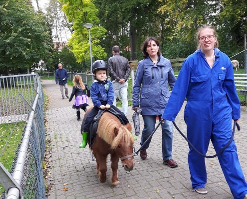 Dierendag 2017