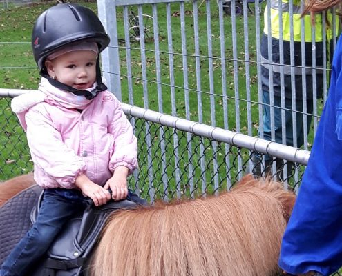 Dierendag 2017